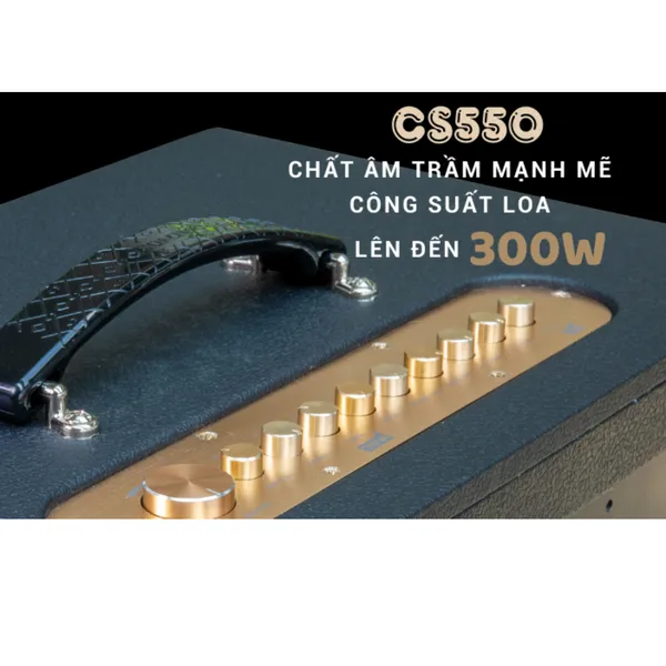 Dàn Âm Thanh Di Động ACNOS CS550