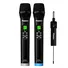 Micro Không Dây Tích Hợp DSP PASION ECHO