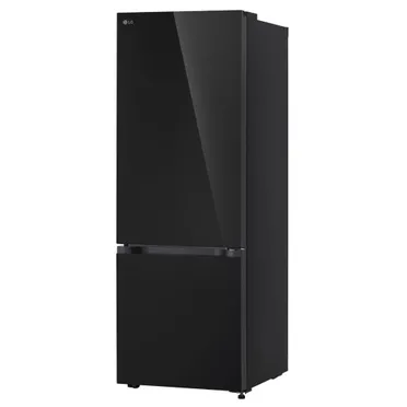 Tủ Lạnh LG Inverter 335 Lít B33BG 0
