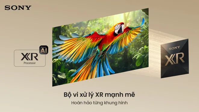 Google TiVi True RGB Sony 75 Inch BRAVIA 7 II K-75XR70M2 7
