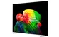 Smart Tivi LG OLED AI 4K 83 Inch OLED83B6PSA 1
