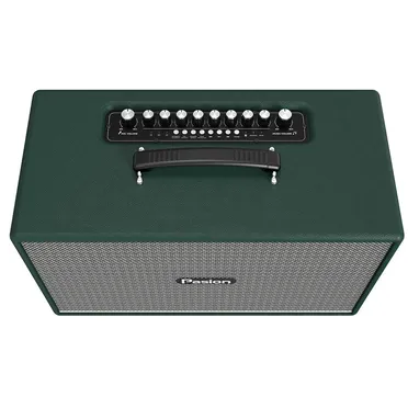 Loa Di Động Xách Tay Paramax PASION Enzo (Green Leather) 1