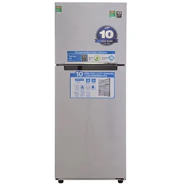 Tủ Lạnh Samsung Inverter 302 Lít RT29FARBDSA/SV