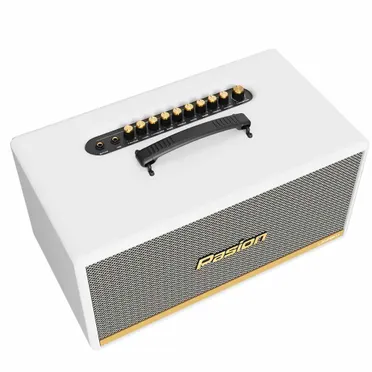 Loa Di Động Xách Tay Paramax PASION 2c (Màu Trắng) 1