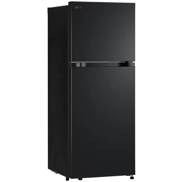 Tủ Lạnh LG Inverter 217 Lít LTB21BLMI