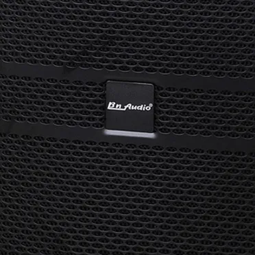 Loa Kéo Bn Audio BA 600V 2