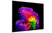 Smart Tivi LG OLED AI 4K 65 Inch OLED65G6PSA