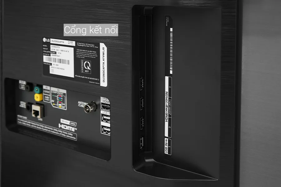 Smart Tivi OLED 4K LG 65 Inch 65CXPTA ThinQ AI