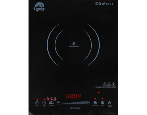 Bếp hồng ngoại IRUKA I-110