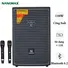 Loa Kéo Di Động Nanomax CP-388