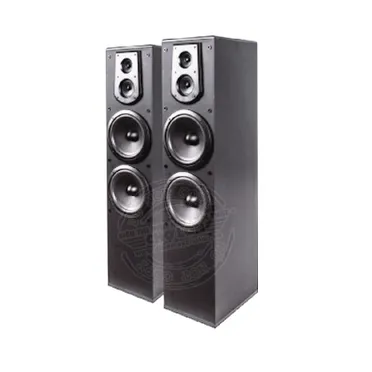 Loa Paramax F500