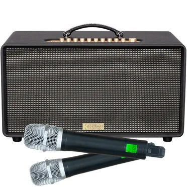 Loa Karaoke Xách Tay Acnos FLAC 36 Ver2 200W 0