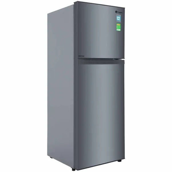 Tủ Lạnh Casper Inverter 238 Lít RT-250VD