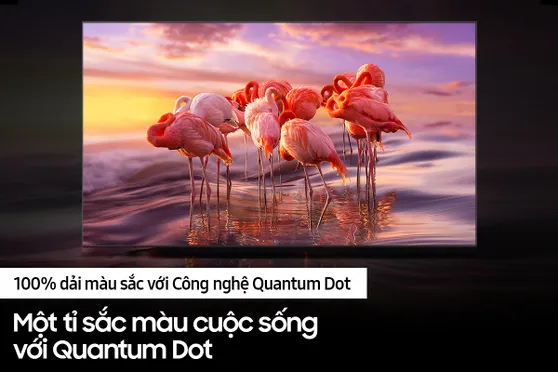 Smart Tivi Samsung QLED 4K 50 Inch QA50Q60B 0