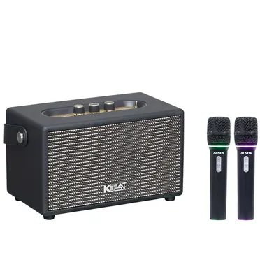 Loa Karaoke Xách Tay Acnos S60 2