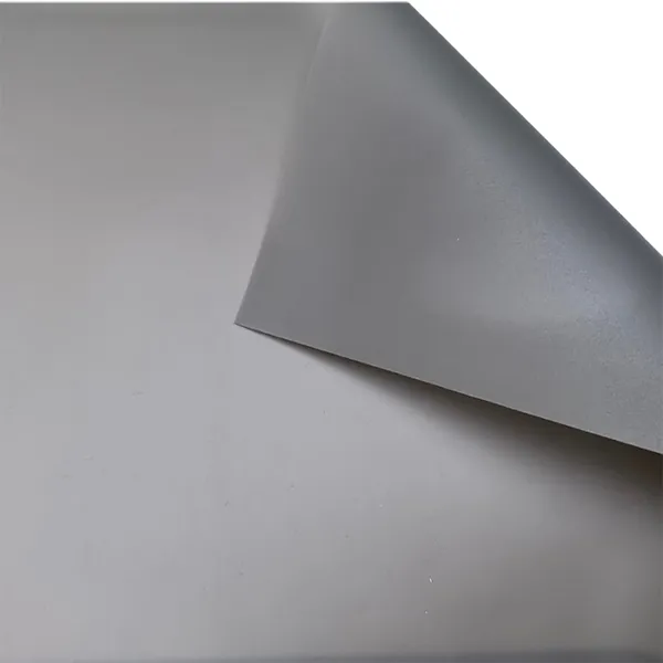Màn Chiếu Projector Screen Ecor PAC100-SFC01
