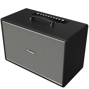 Loa Di Động Xách Tay Paramax PASION Mozo (Màu Đen) 2
