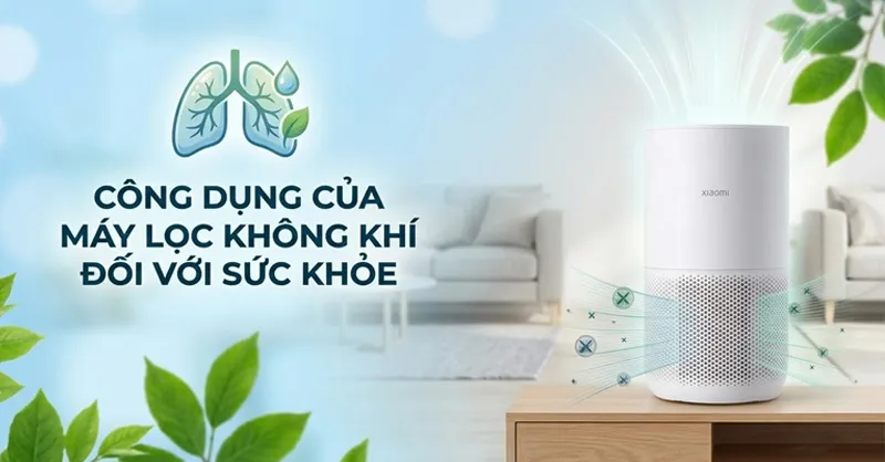 Các công dụng của máy lọc không khí đối với sức khỏe mà bạn nên biết