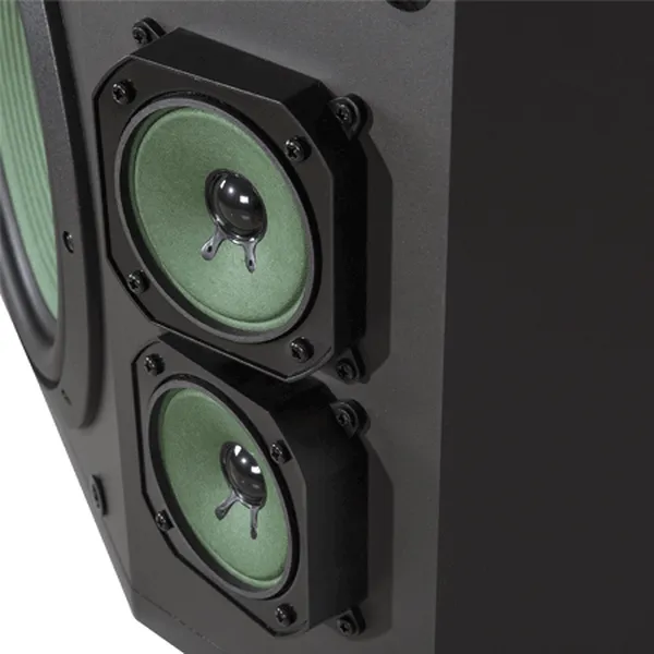 Loa Paramax P-1000