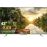 TCL Android Tivi 4K 43 Inch 43P725