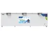 Tủ Đông Hòa Phát Inverter 1190 Lít HPF AD81190