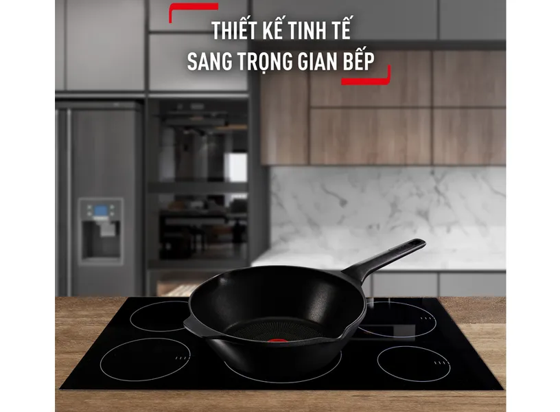 Chảo Đúc Cao Cấp Tefal Robusto 24cm E2490444