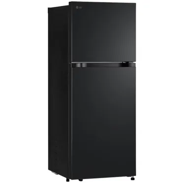 Tủ Lạnh LG Inverter 217 Lít LTB21BLMI 0