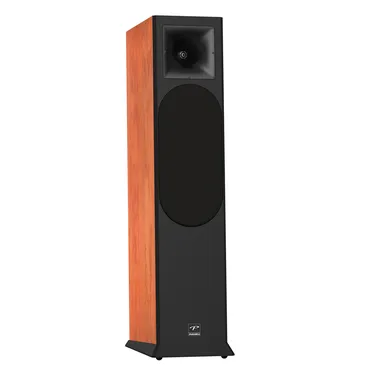Loa Nghe Nhạc và Karaoke Hi-Fi PARAMAX EURO 8 Limited (Calvados) 0