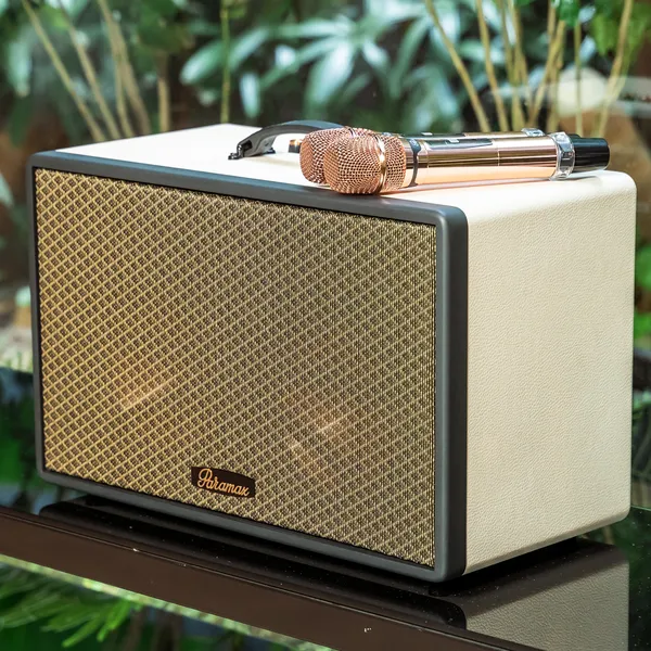 Loa Di Động Xách Tay Paramax Saga (Cream Leather)