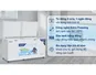 Tủ Đông Hòa Phát 544 Lít HPF AD6544