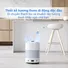 Robot Lọc Không Khí Ecovacs Airbot Andy Pro