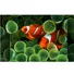Android Tivi Casper 32 Inch HD 32HGS610