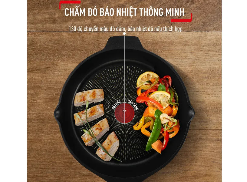 Chảo Đúc Cao Cấp Tefal Robusto 24cm E2490444