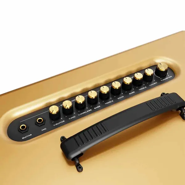 Loa Di Động Xách Tay Paramax PASION 2c (Màu Vàng)