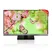 Panasonic Tivi LED 32 Inch TH-32AS620V