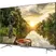 TCL Android Tivi 4K 43 Inch 43P725 2