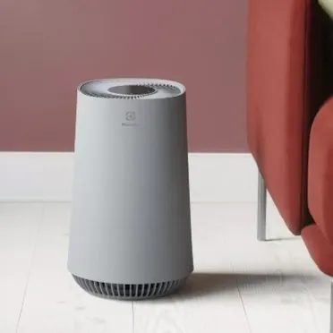 Máy lọc không khí Electrolux FA31-202GY 3