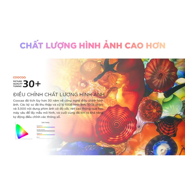 Google Tivi Coocaa 55 Inch 55V6
