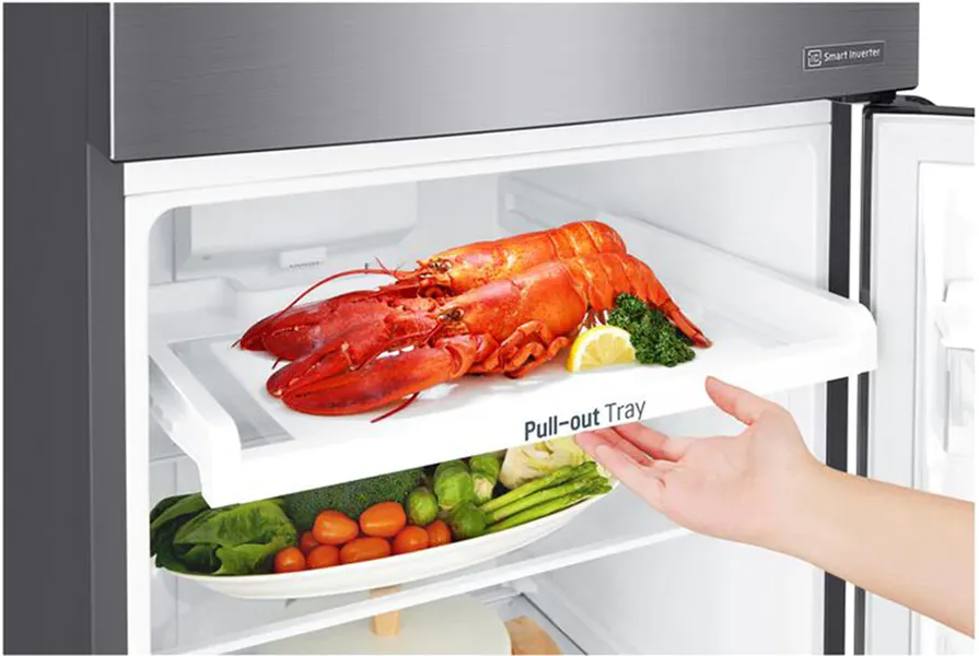 Tủ Lạnh LG Inverter 255 Lít GN-D255PS
