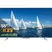 TCL Android Tivi 4K 55 Inch 55P725 0