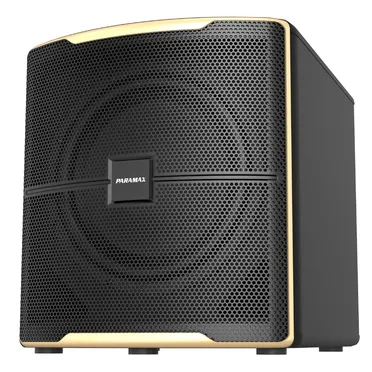 Loa Paramax Z-Sub 1