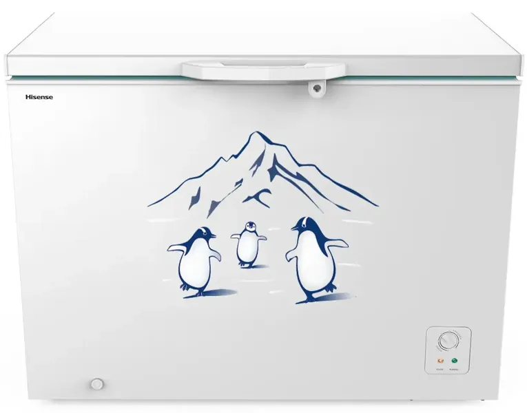 Tủ Đông Hisense Inverter 300 Lít FC380D4EWC1