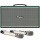 Loa Di Động Xách Tay Paramax PASION Enzo (Green Leather)