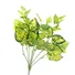 Bụi Cây Vạn Niên Thanh 45CM-A255BM