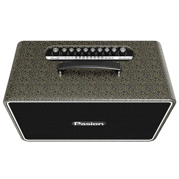 Loa Di Động Xách Tay Paramax PASION Arte (Golden Black)