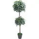 Chậu Cây Thạch Nam JWT2939