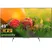 Sony Android Tivi 4K 49 Inch KD-49X8500H/S 0