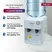 Cây Nước Nóng Lạnh Để Bàn Mini Fujihome WD201E 1