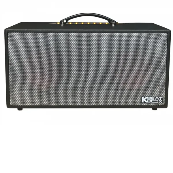 Dàn Âm Thanh Di Động ACNOS KSNet450