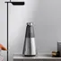 Loa Bluetooth B&O Beosound 2 Silver